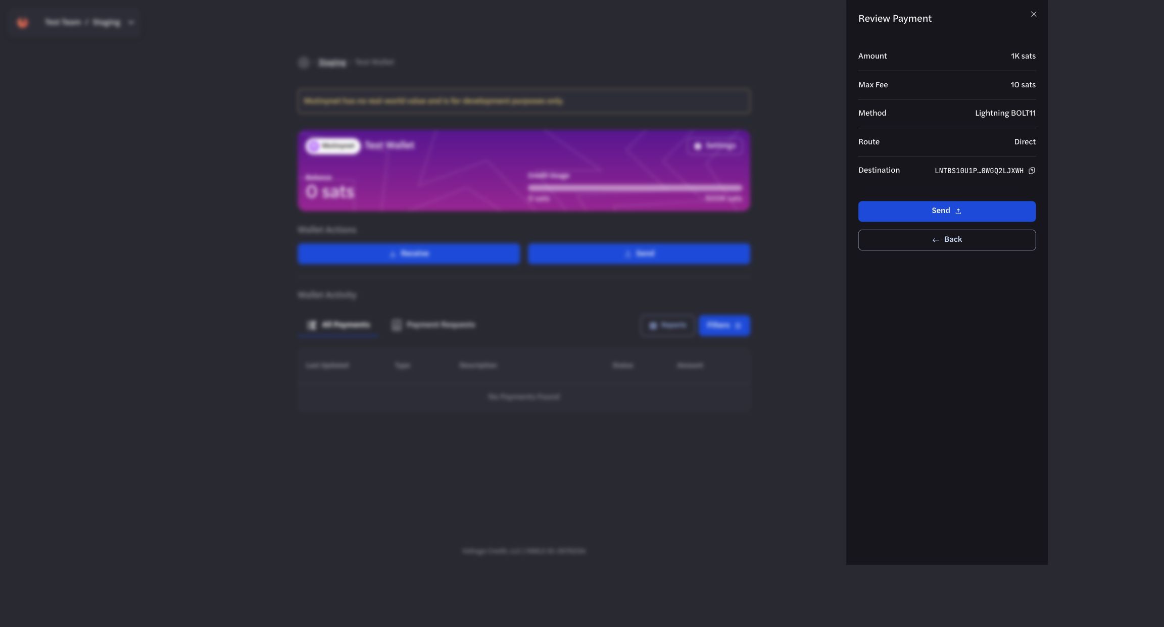 Test Lightning payment review drawer