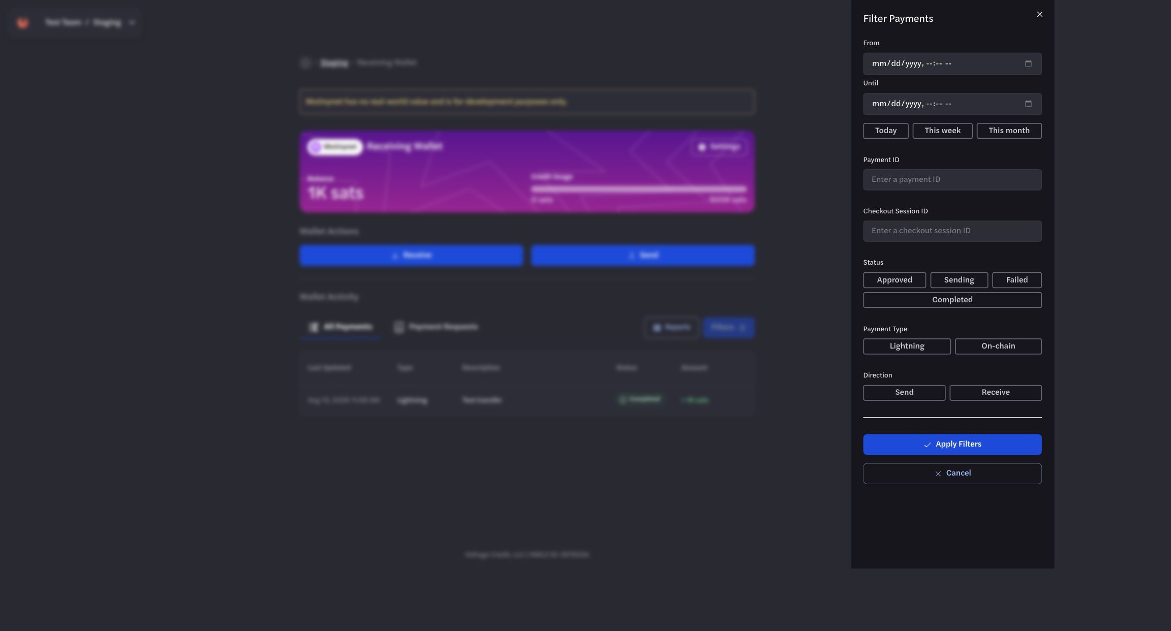 Payment activity filters for date, identifiers, status, type, and direction